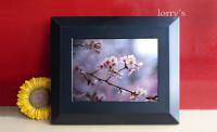 10.4吋 數位相框  採用SHARP LQ104V1DG51 TFT LCD