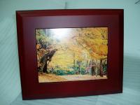 JZ104 數位相框(紅木框)