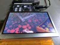 客製化 4.3吋 LCD 