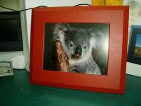 10.4吋 數位相框  採用SHARP LQ104V1DG52 TFT LCD