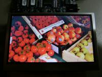 LQ043T1DG02 SHARP 4.3