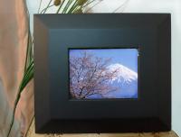5.6吋 AV MONITOR TMD LCD inside 